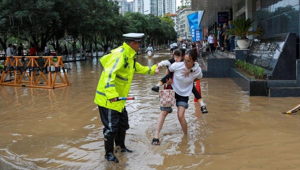 台湾当归
