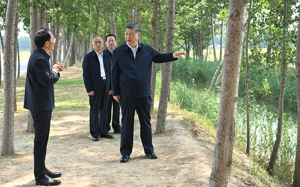 咖香飘四海 侨乡浙江青田咖啡产业提质拓市场