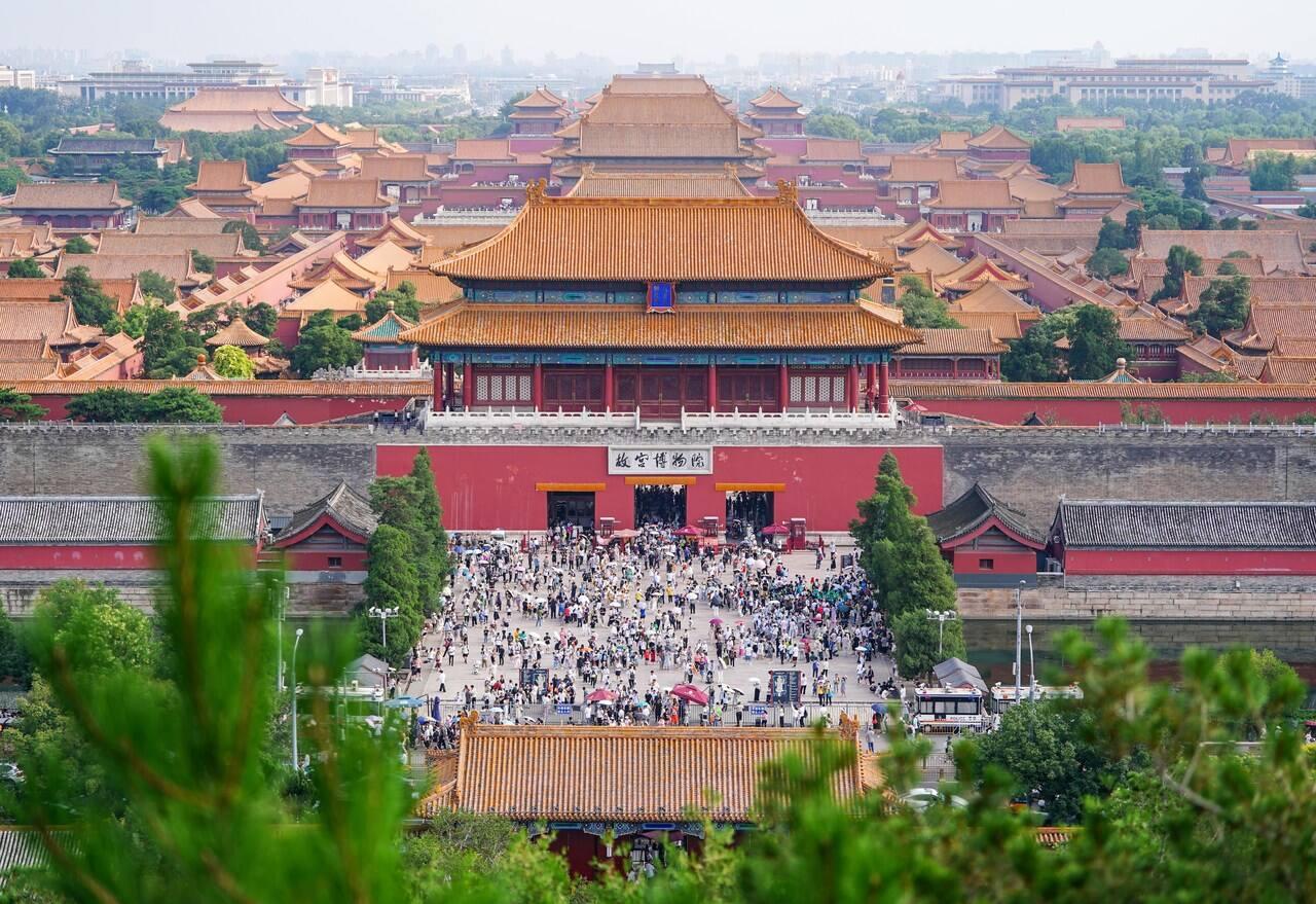 哀牢山发现全球仅千只的鸟