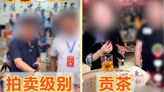 “希望村党组织进一步发挥党建引领作用”