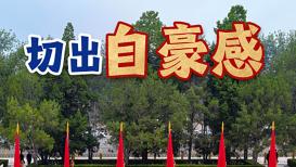 挑衅越甚勒得越紧