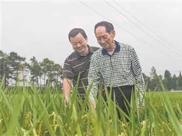 李沁妆造