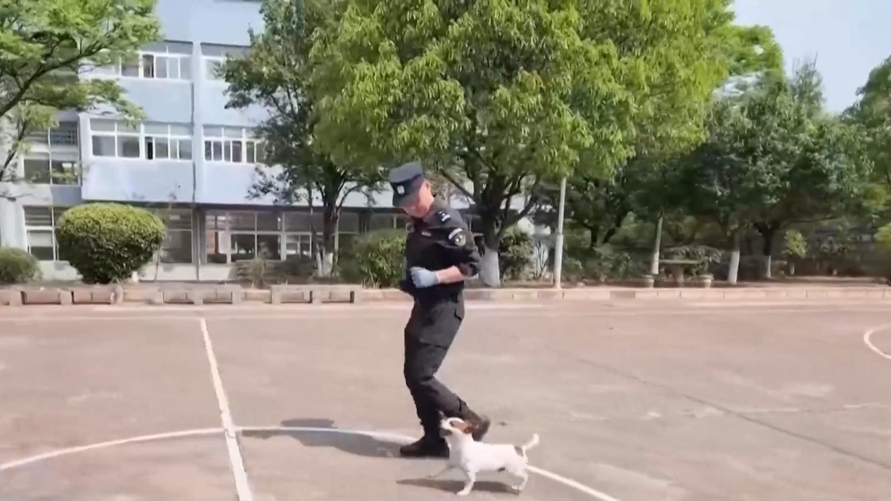 评论用户