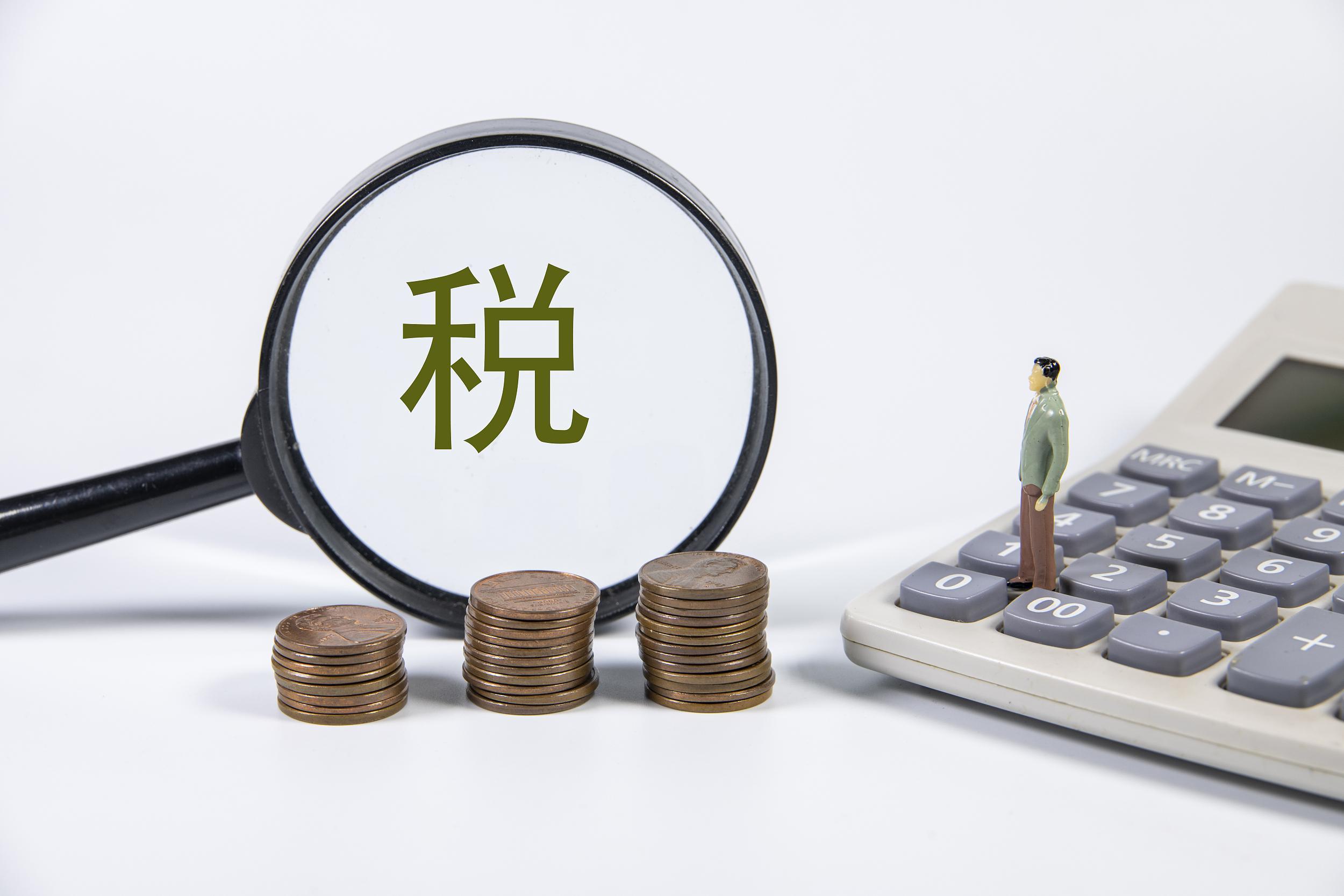 联合国工发组织总干事代表：弥合数字鸿沟与数字创新同等重要