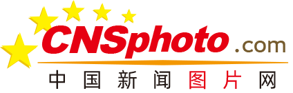 文章模仿向佐动作