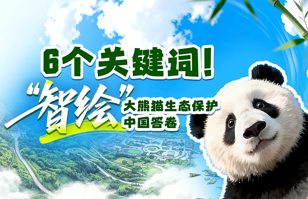 一见·山东之行,总书记再提政绩观