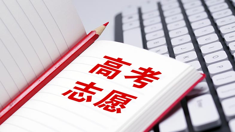 王毅会见埃及国家安全委员会秘书长埃尔丁